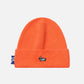 Cartoon  Dachshund Hats