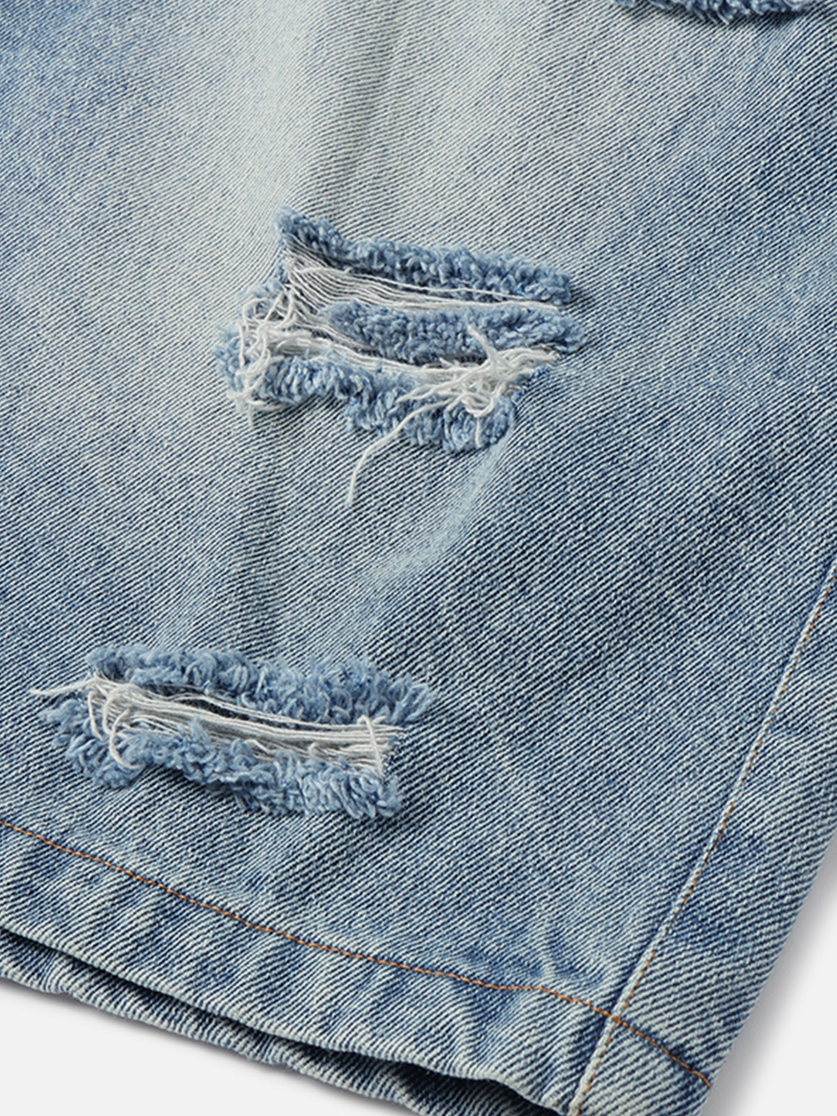 Applique Embroidery Longline Jorts