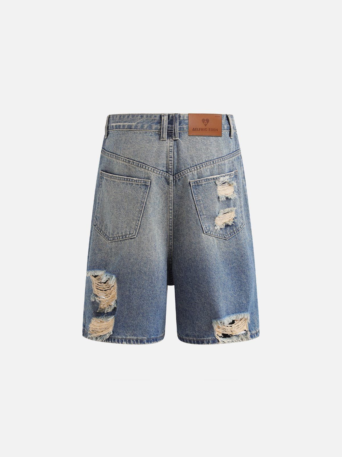 Multi Distressed Jorts