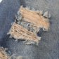 Multi Distressed Jorts