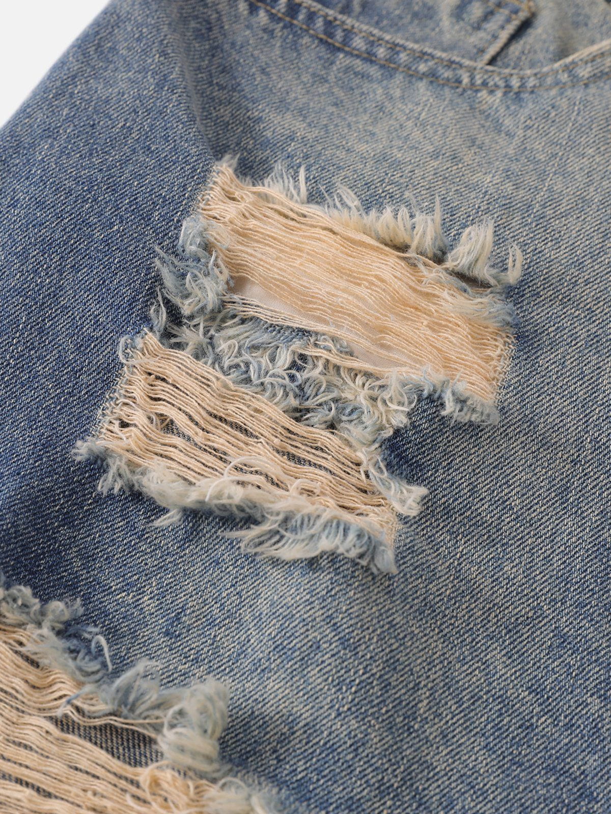 Multi Distressed Jorts