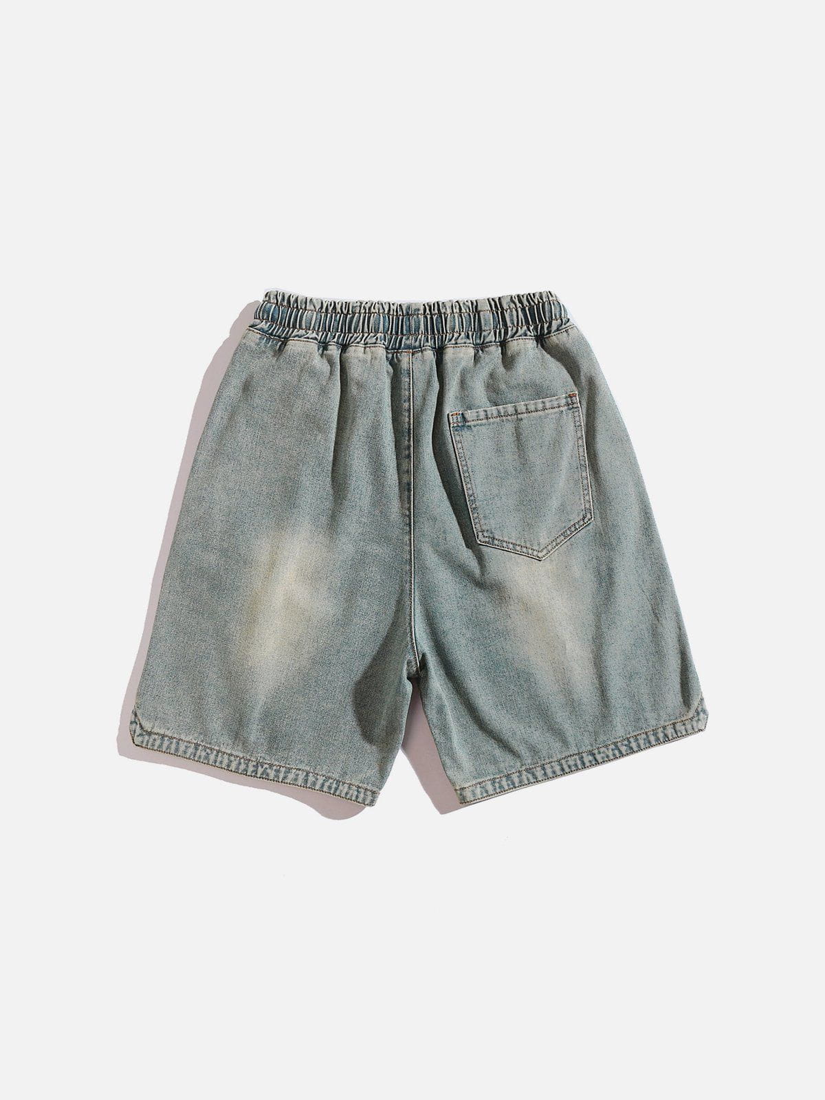 Washed Embroidery Jorts