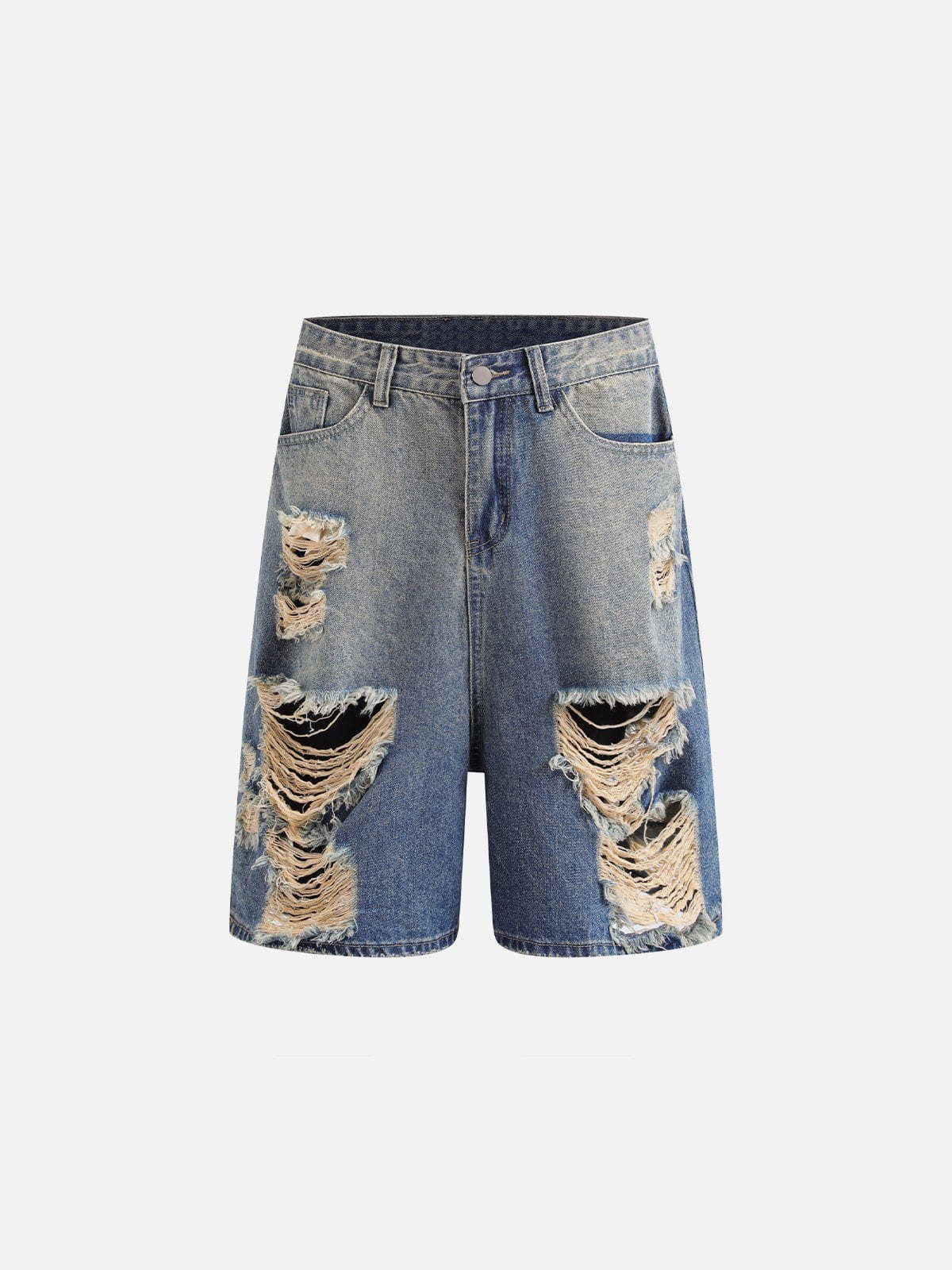 Multi Distressed Jorts